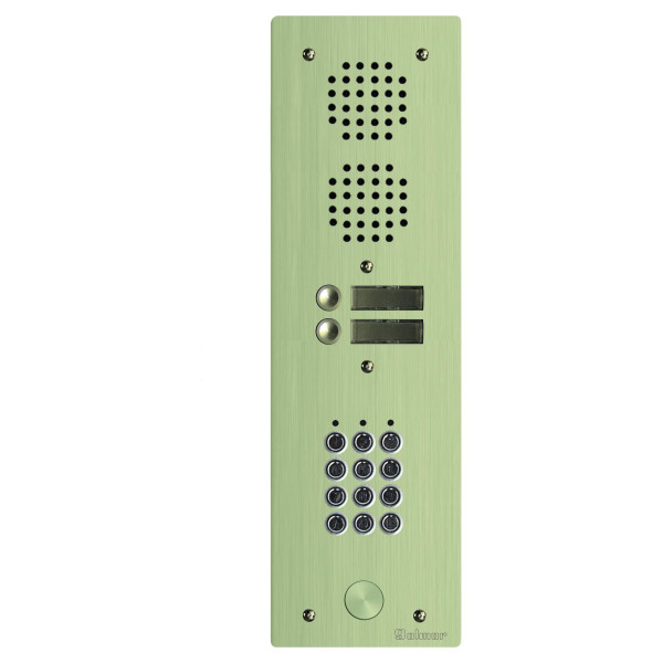 Platine aluminium haut-risque audio 1 rangée avec clavier, 2 boutons champagne