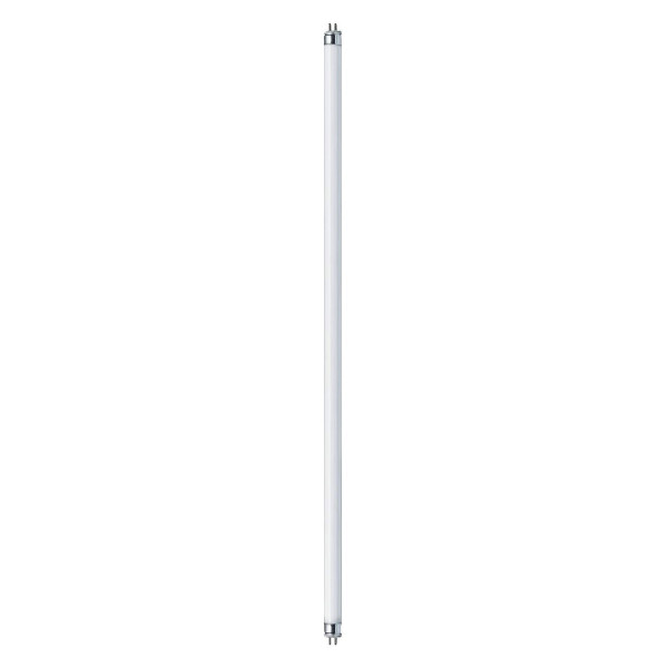 Tube fluorescent Paulmann T5 14W blanc / 840