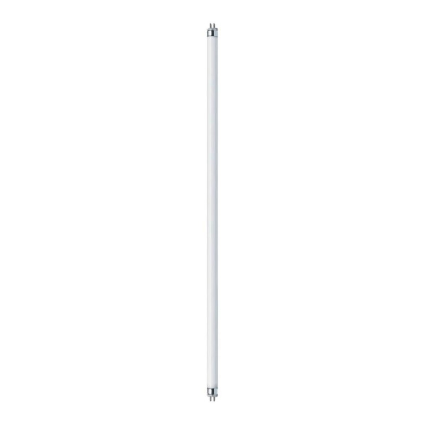 Tube fluorescent Paulmann T5 14W blanc / 840