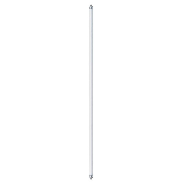 Tube fluorescent Paulmann T5 21W blanc 840