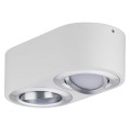 Plafonnier LED Blanc Dépoli Aluminium Brossé 2 Flammes 9,5 W Argun Paulmann