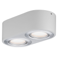 Plafonnier LED Blanc Dépoli Aluminium Brossé 2 Flammes 9,5 W Argun Paulmann