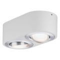 Plafonnier LED Blanc Dépoli Aluminium Brossé 2 Flammes 9,5 W Argun Paulmann