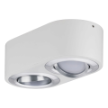 Plafonnier LED Blanc Dépoli Aluminium Brossé 2 Flammes 9,5 W Argun Paulmann