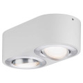 Plafonnier LED Blanc Dépoli Aluminium Brossé 2 Flammes 9,5 W Argun Paulmann