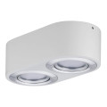 Plafonnier LED Blanc Dépoli Aluminium Brossé 2 Flammes 9,5 W Argun Paulmann