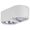 Plafonnier LED Blanc Dépoli Aluminium Brossé 2 Flammes 9,5 W Argun Paulmann