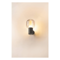 Ovalisk, applique extérieure, anthracite, led, 9w, 3000/4000k, interrupteur cct, ip65