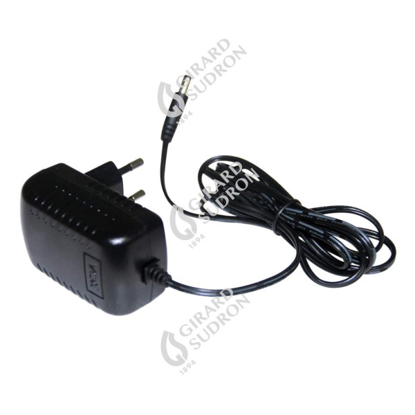 Girard sudron chargeur de batterie sur secteur pour projecteur led portatif
