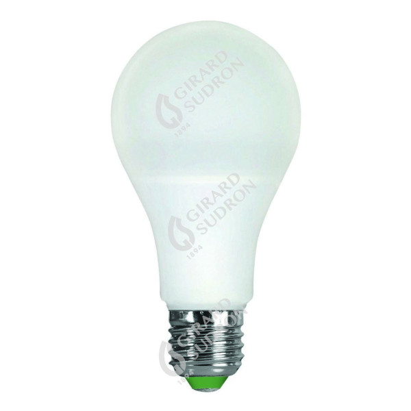 Girard sudron Ampoule standard A60 led 330° 9W E27 2700k 806lm