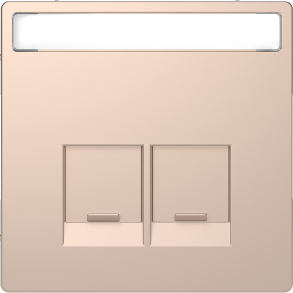 D-life - enjoliveur prise double rj45 s-one - porte-étiquette - métal champagne