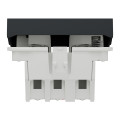 Bouton-Poussoir Anthracite NO 10 A Connexion Rapide 2 Modules Unica Schneider – Mécanisme Seul