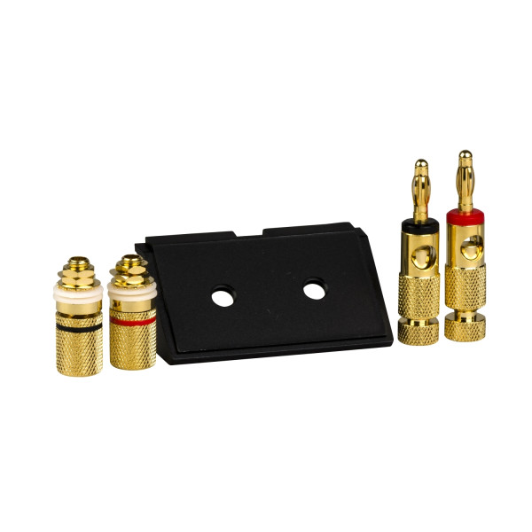Plaque noire pour connexions de haut-parleurs de 10 mm2 max.