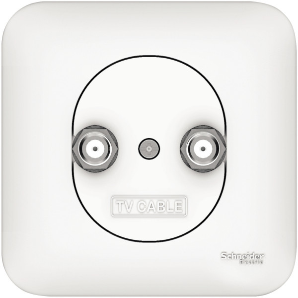 Schneider Ovalis prise multi services pour réseaux câblés avec plaque - Schneider Electric - S260457