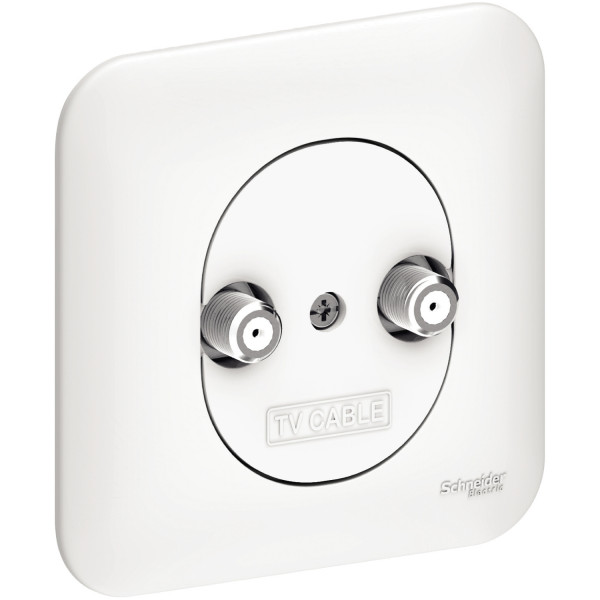 Schneider Ovalis prise multi services pour réseaux câblés avec plaque - Schneider Electric - S260457