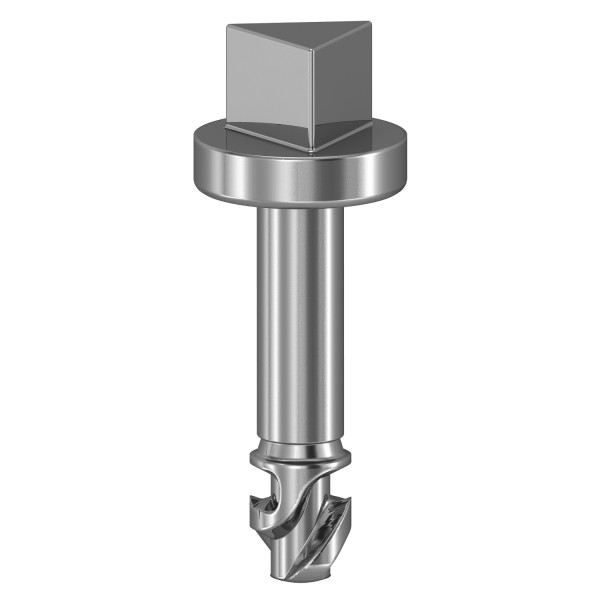 1 vis triangle 6,5mm
