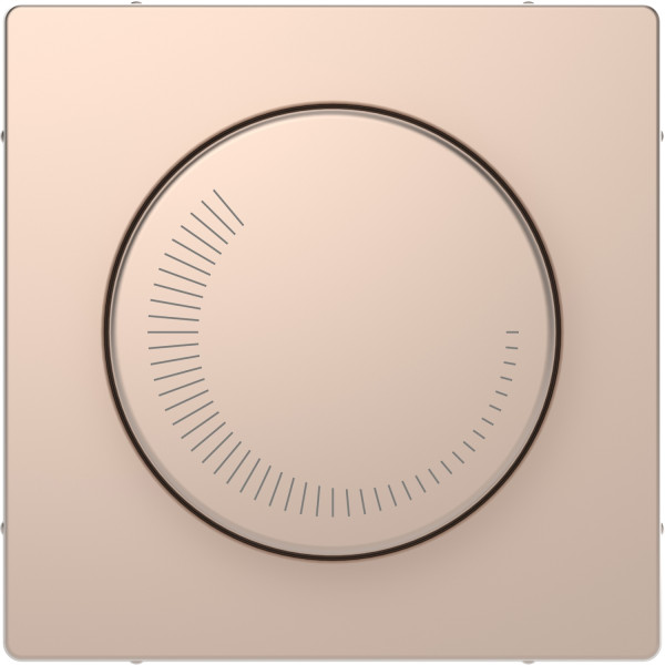 D-life - enjoliveur pour variateur de vitesse rotatif - métal champagne