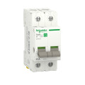 Interrupteur-Sectionneur 2P 63 A Resi9 XP Schneider Electric