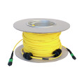 Câble fibre optique Mtp-mtp micro os1/os2 - 30m