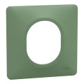 Ovalis - plaque de finition - 1 poste vert forêt
