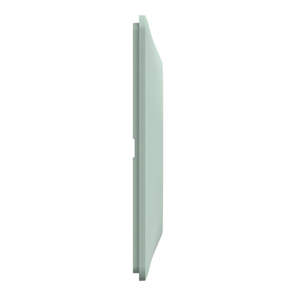 Ovalis - plaque de finition - 2 postes horizontal - entraxe 71mm - sauge