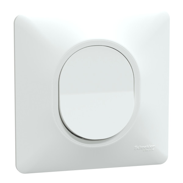 Ovalis - bouton poussoir à fermeture - 10ax - blanc - griffes montées - plaque