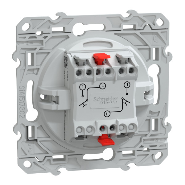 Double Poussoir Ovalis Schneider Electric à Fermeture – 10 AX – Anthracite