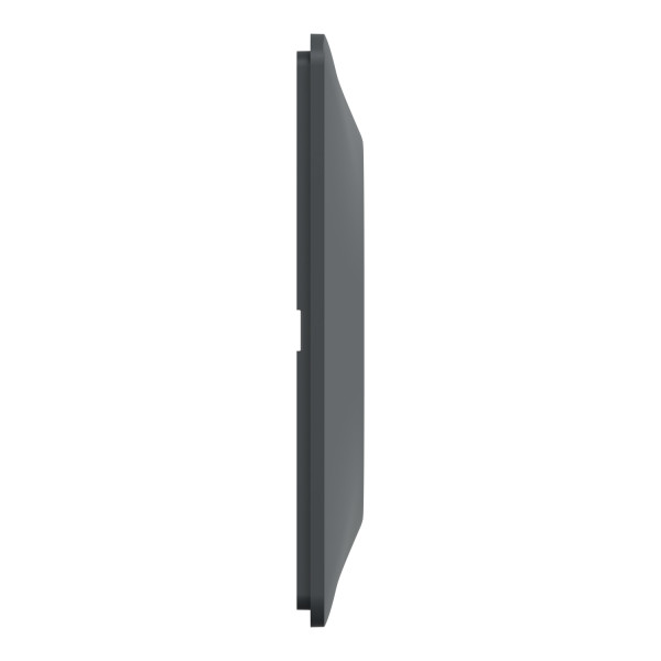 Plaque de Finition Anthracite 1 Poste Ovalis Schneider