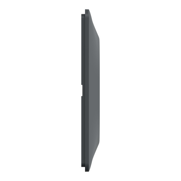 Plaque de Finition Anthracite 2 Postes Horizontaux Entraxe 71 mm Ovalis Schneider Electric