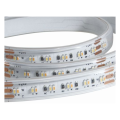 Ruban led 240led/m 2110 24v ip67 bicolor cri90 5m