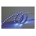 Ruban led 120led/m smd2835 24v ip67 bleu 5m