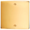 Façade Confidence Laiton  Or Miroir simple ouverture 44x44 pour BTICINO à vis (1006-421)