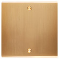 Façade Confidence Laiton Satiné simple nue pour gravure sans vis (1051-419)