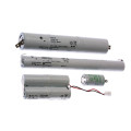 Pack accus 2x4x1.2v 0.6ah eaton ecosafe