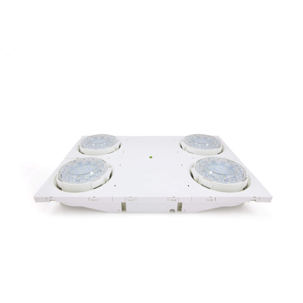 Beamtech 2000 adr cgline+