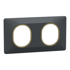 Ovalis - plaque de finition - 2 postes horizontal - 71mm - anthracite bag laiton