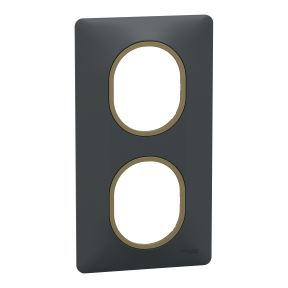 Ovalis - plaque de finition - 2 postes vertical - 71mm - anthracite bague laiton