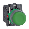 Harmony xb5 - bouton poussoir à impulsion - Ø22 - col grise - vert - 1f - vis