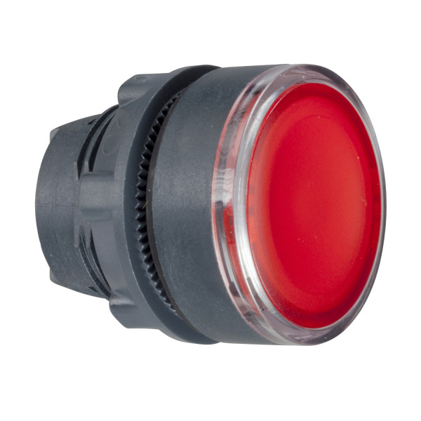 Harmony tête de bouton poussoir - Ø22 - pour insertion étiquette - rouge