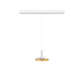 Lalu® plate 15, abat-jour, mix&match, h : 1,5 cm, blanc/or