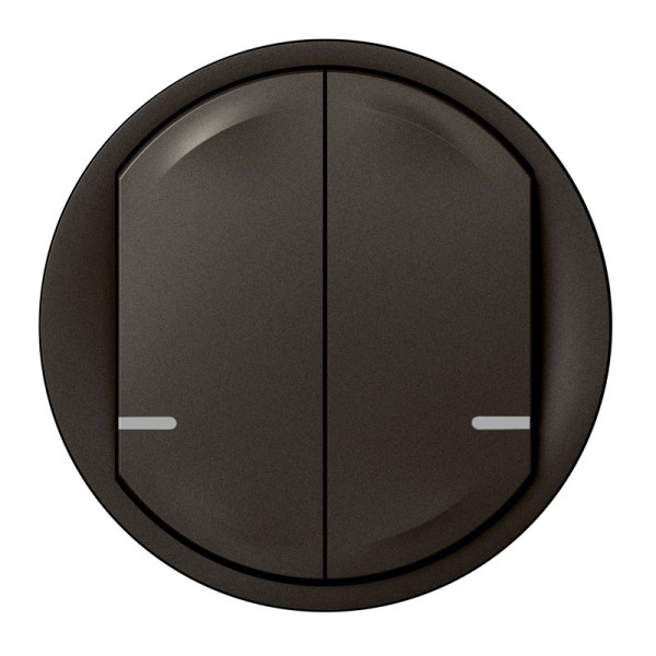 Enjoliveur Céliane double connecté titane pour interrupteur Netatmo