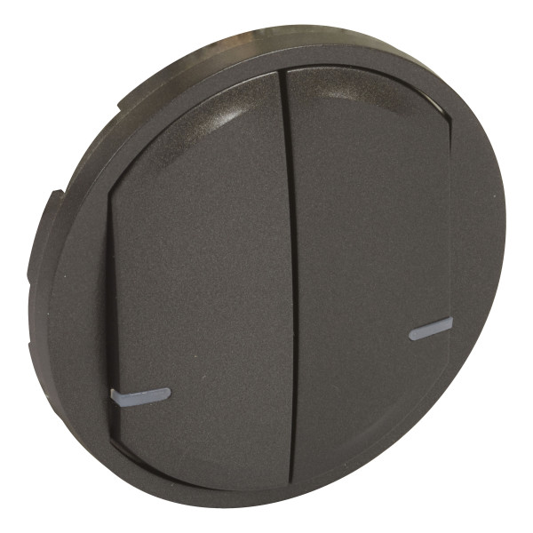 Enjoliveur Interrupteur Double Connecté Graphite Céliane With Netatmo