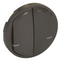 Enjoliveur Interrupteur Double Connecté Graphite Céliane With Netatmo