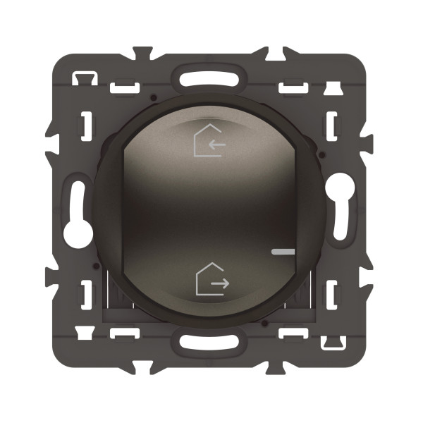 Commande Connectée Céliane With Netatmo Graphite pour Scènes de Vie