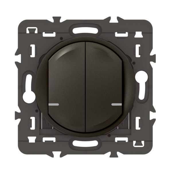 Commande Double Sans Fil Céliane With Netatmo, Éclairage/Prise Graphite