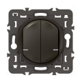 Commande Double Sans Fil Céliane With Netatmo, Éclairage/Prise Graphite