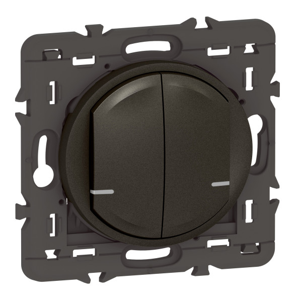 Commande Double Sans Fil Céliane With Netatmo, Éclairage/Prise Graphite