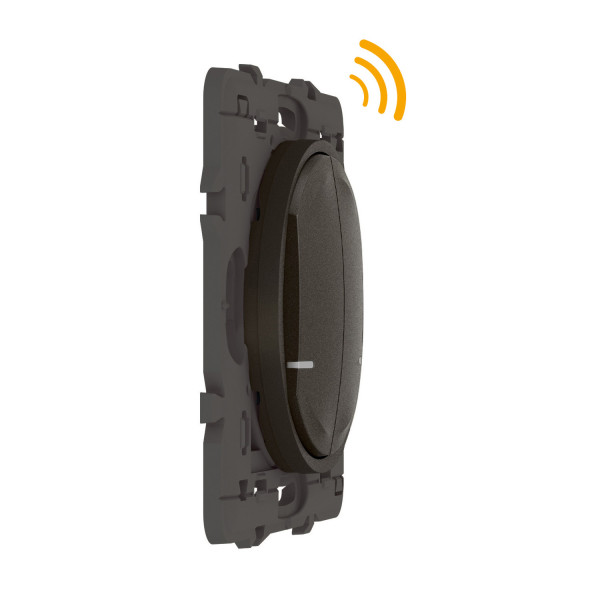 Commande Double Sans Fil Céliane With Netatmo, Éclairage/Prise Graphite