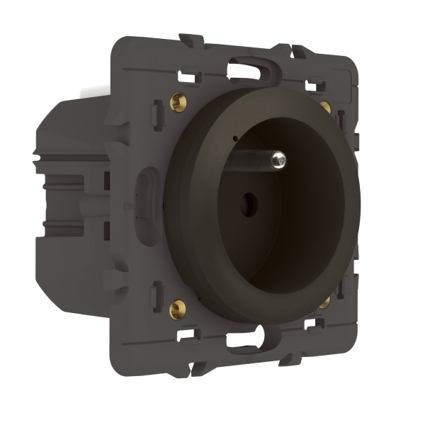 Prise de courant connectée Céliane 16A avec mesure conso - Finition graphite, Netatmo