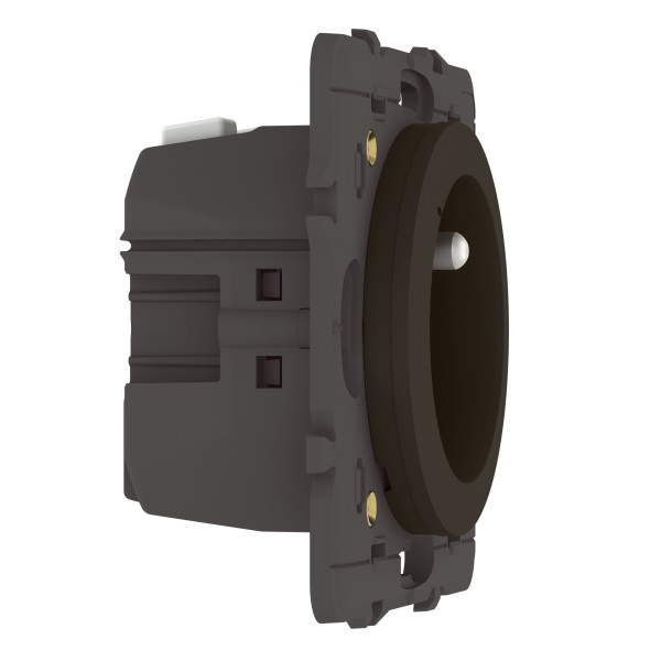 Prise de courant connectée Céliane 16A avec mesure conso - Finition graphite, Netatmo
